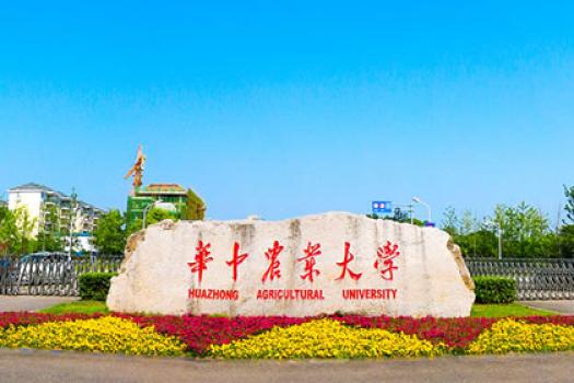 不一般的华中农业大学专属PPT是什么样的呢？
